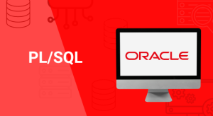 PL/SQL – poziom podstawowy